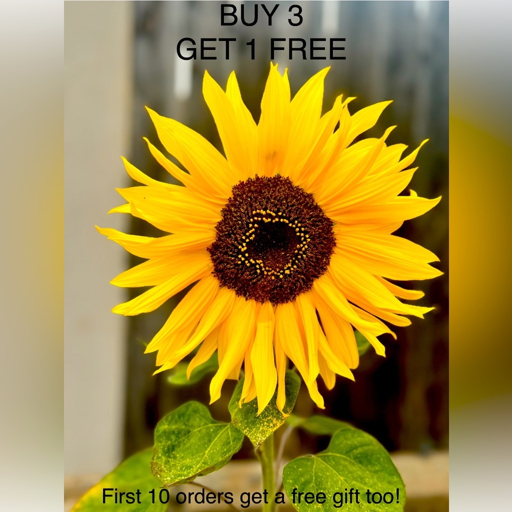 Buy 3 Get 2 FREE until Sunday 1/12